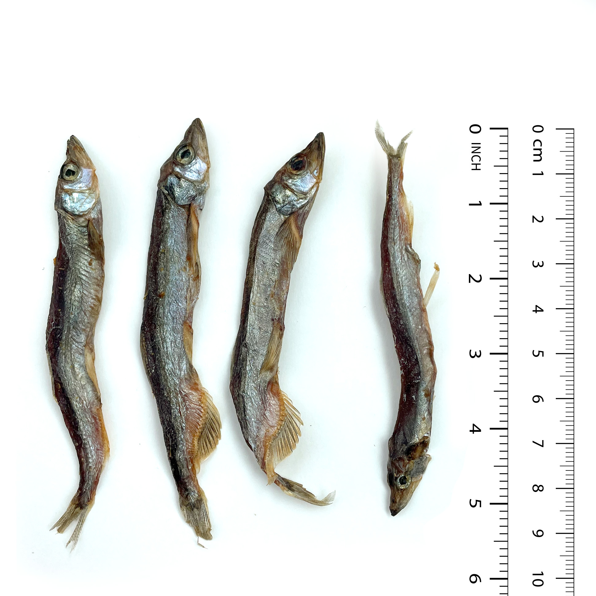 Capelin Treats - Image 4
