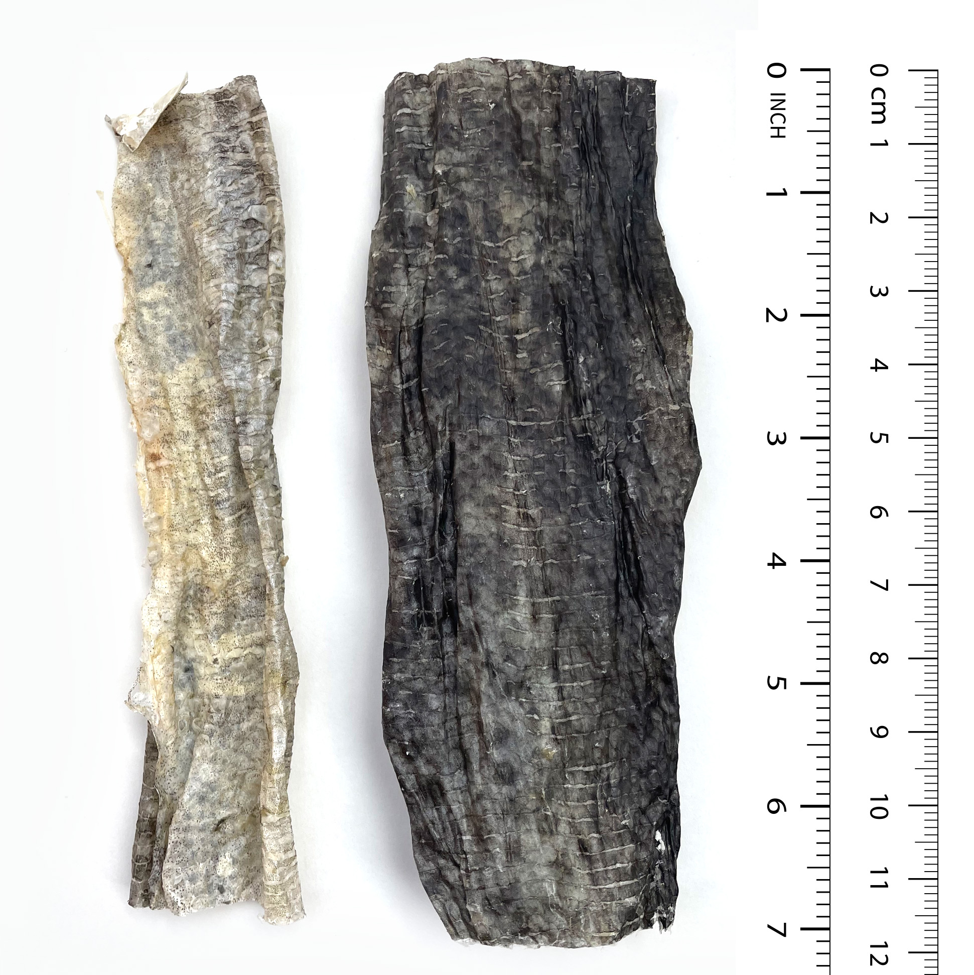 Cod Skin Chews - Image 4