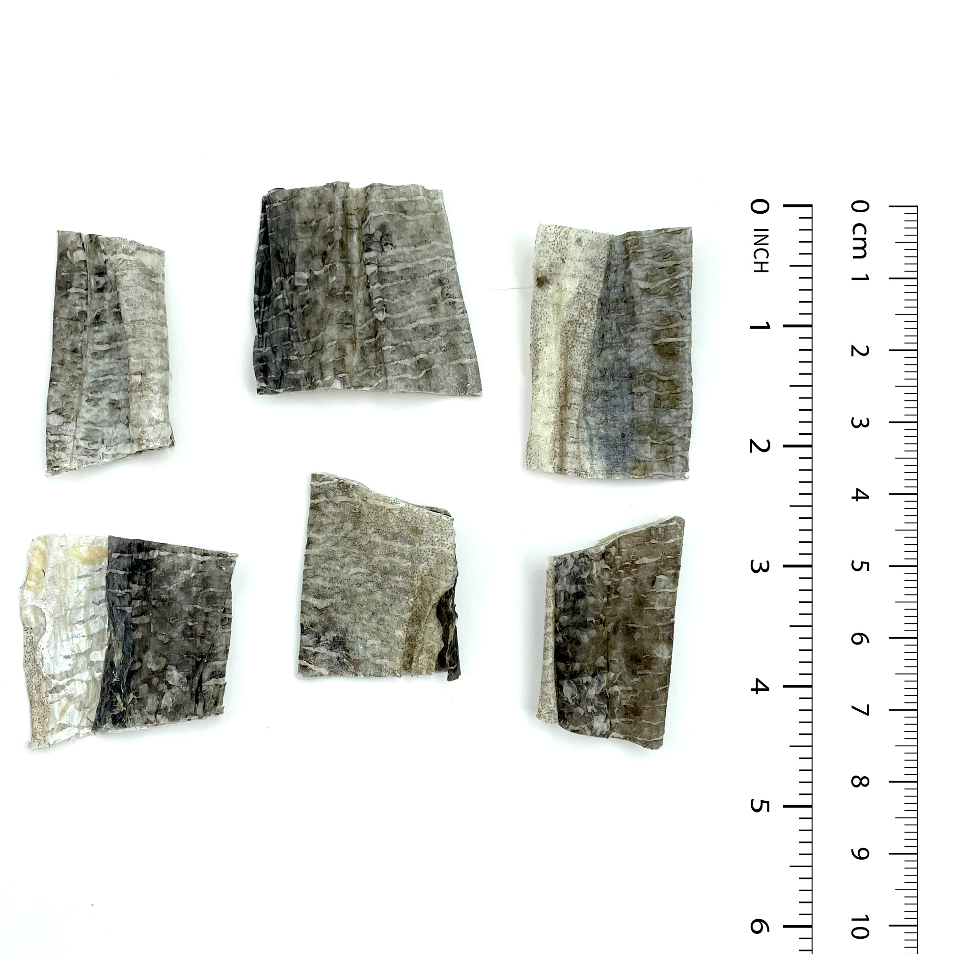 Cod Skin Pieces - Image 4